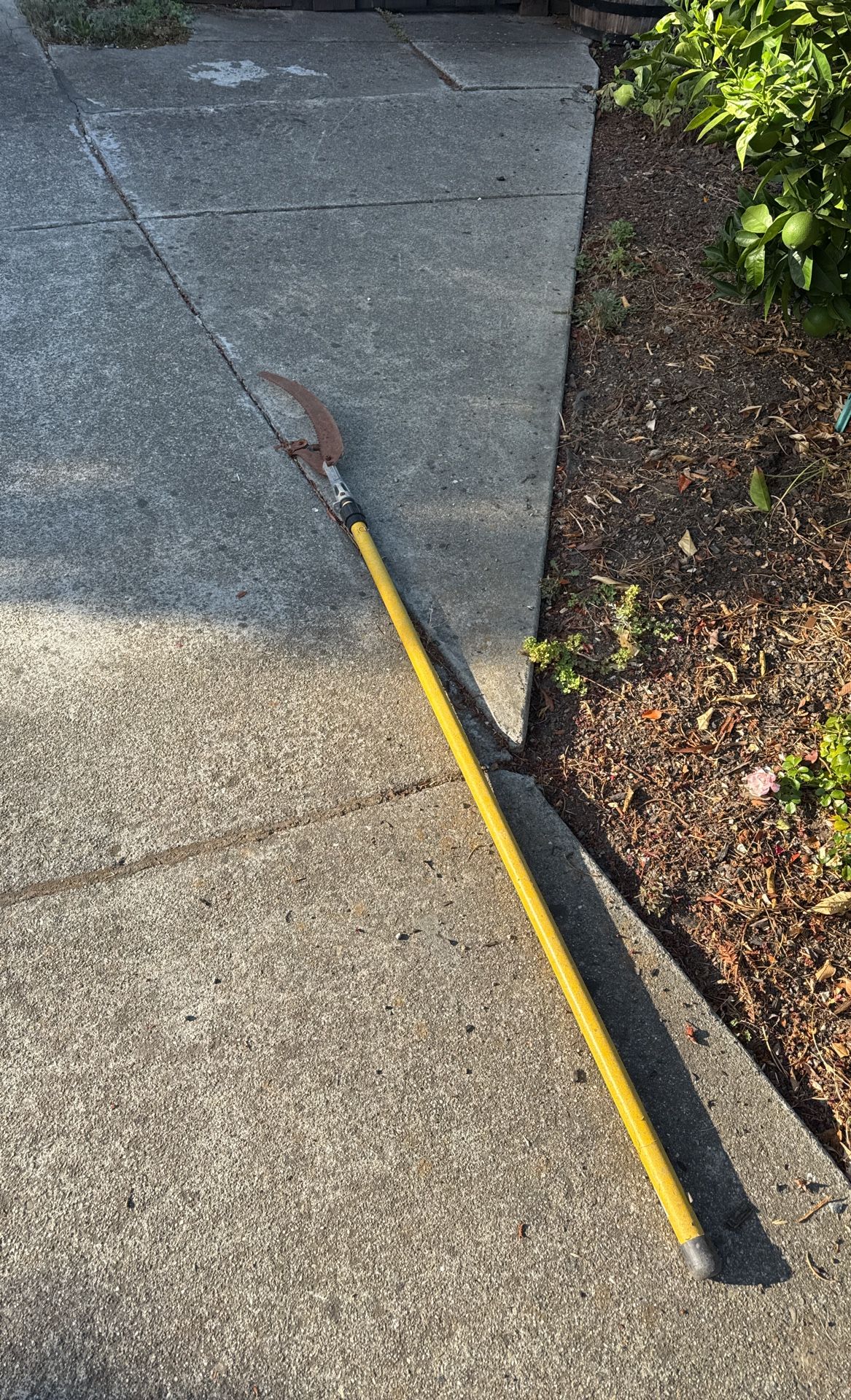 Long Handled Pruning Saw