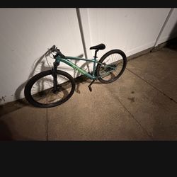Schwinn Axum Sport Adult Unisex 29-in. Mountain Bike, Medium Frame, Green