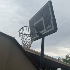 Basketball Court 