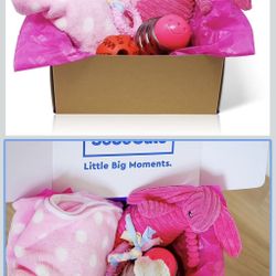 Pink Dog Gift Box - Puppy Chew Toy Set New