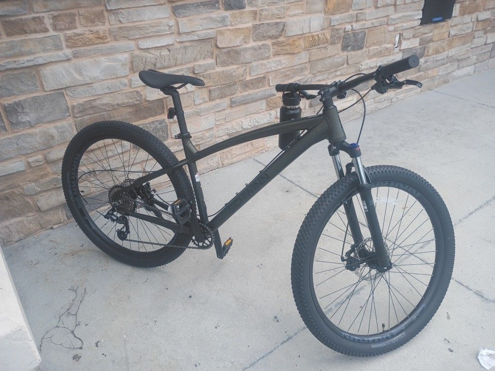 Schwinn 29" 100