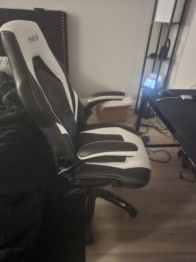 Desk Chairs