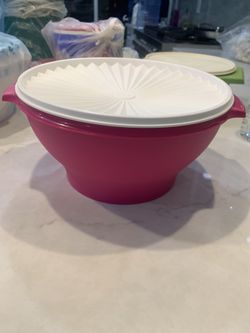 Tupperware Container