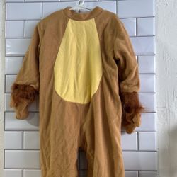 Lion child costume 