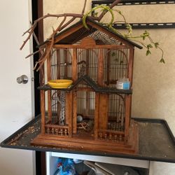Bird Cage And With The Parakeets 