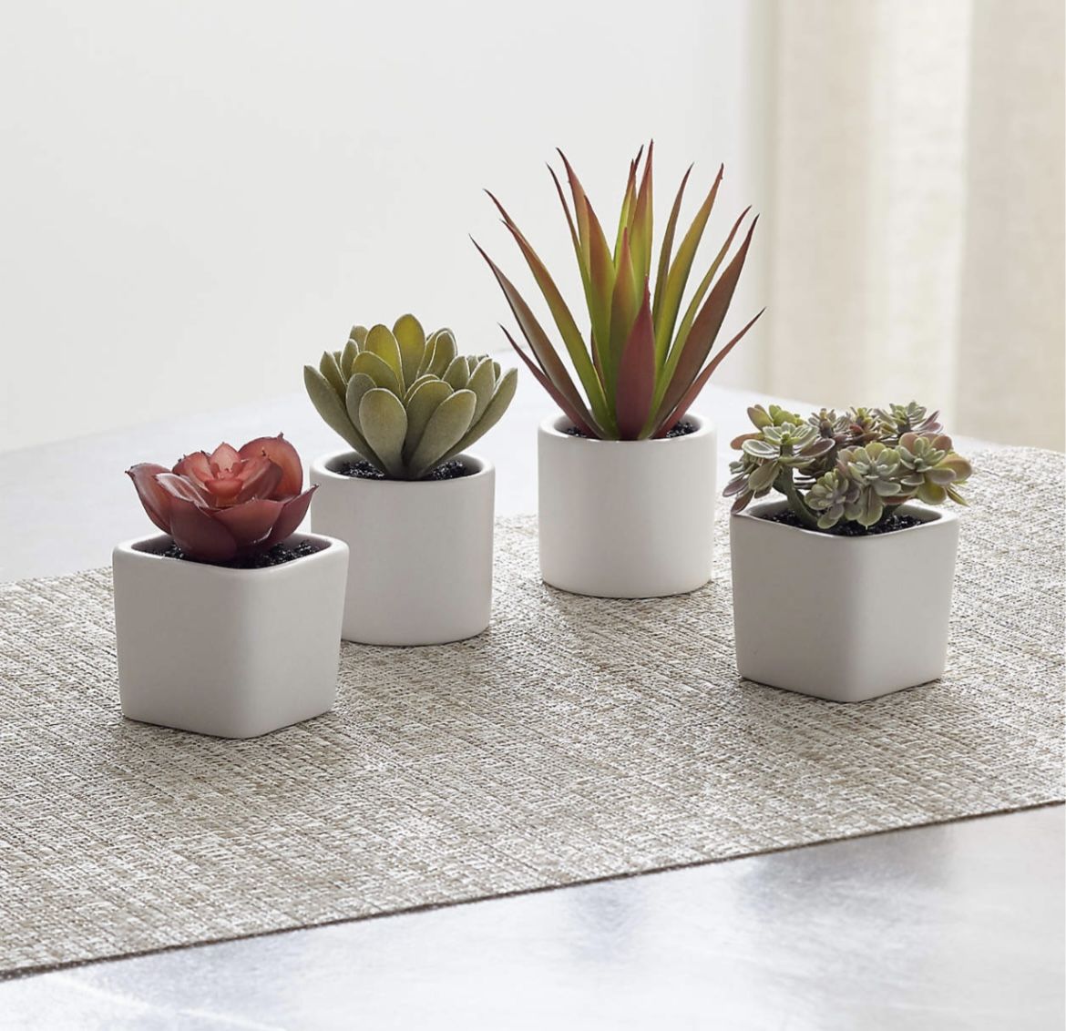 Brand New Still In Box Decorative Plants