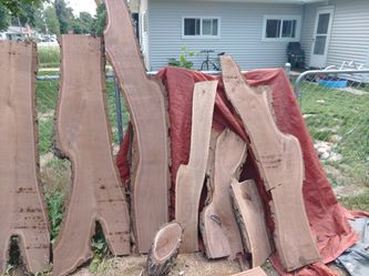 Black Walnut Slabs 