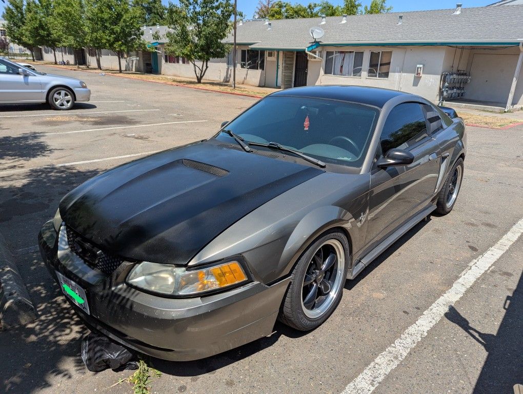 2002 Ford Mustang