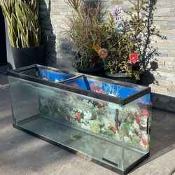 75 Gallon Fish Tank 