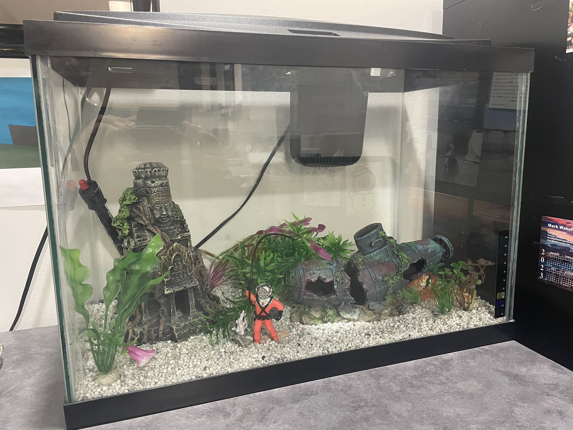 20 Gallon Fish Tank and Accessories