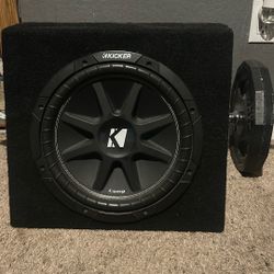 12 Inch Subwoofer