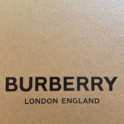 Kids Burberry Sock Shoes 
