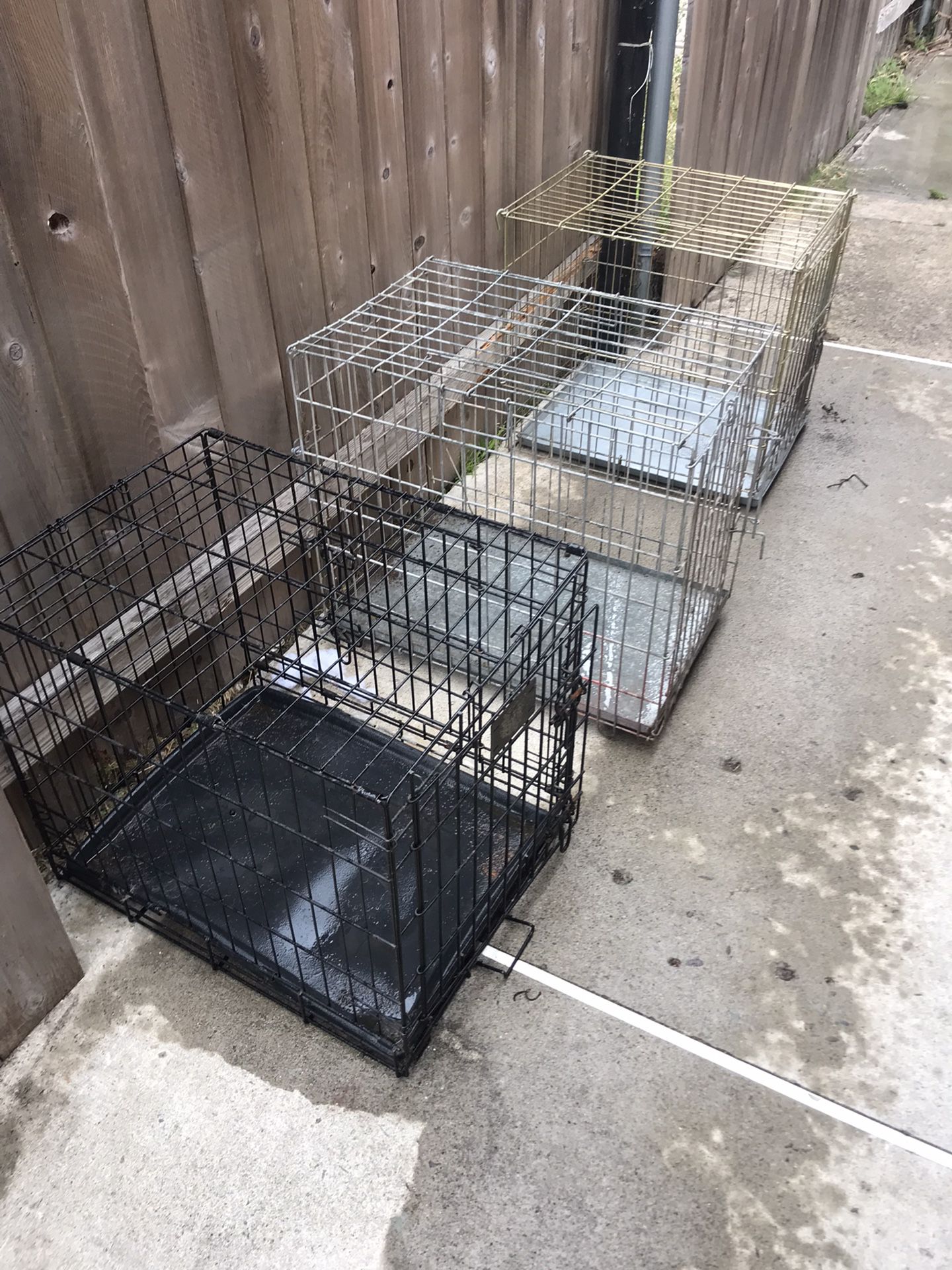 3 Dog Cages