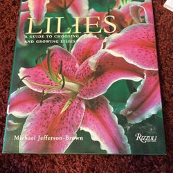 Lilies A Guide To Choosing And Growing Lilies 