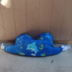 Dolphin Floaty