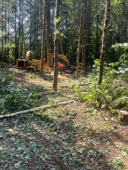 Land Clearing For Sale