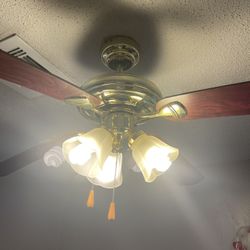 Ceiling fan -Free