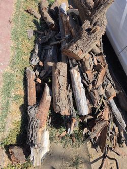 Free firewood