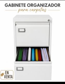 Organizer folder cabinet