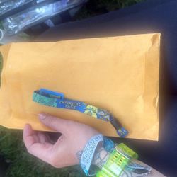 2 Day Ga With A Camping Band 