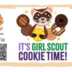 Girl Scout Cookies 