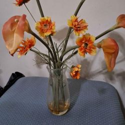 Dry Plant Decoration 