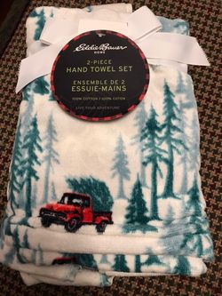 NEW IN PACKAGE -  CHRISTMAS Set Of 2 Hand Towels