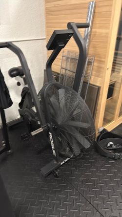 Rogue bike