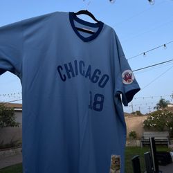Bill Madlock #18 Chicago Cubs Mitchell & Ness Road 1976 Cooperstown Collection Authentic Jersey - Light Blue 