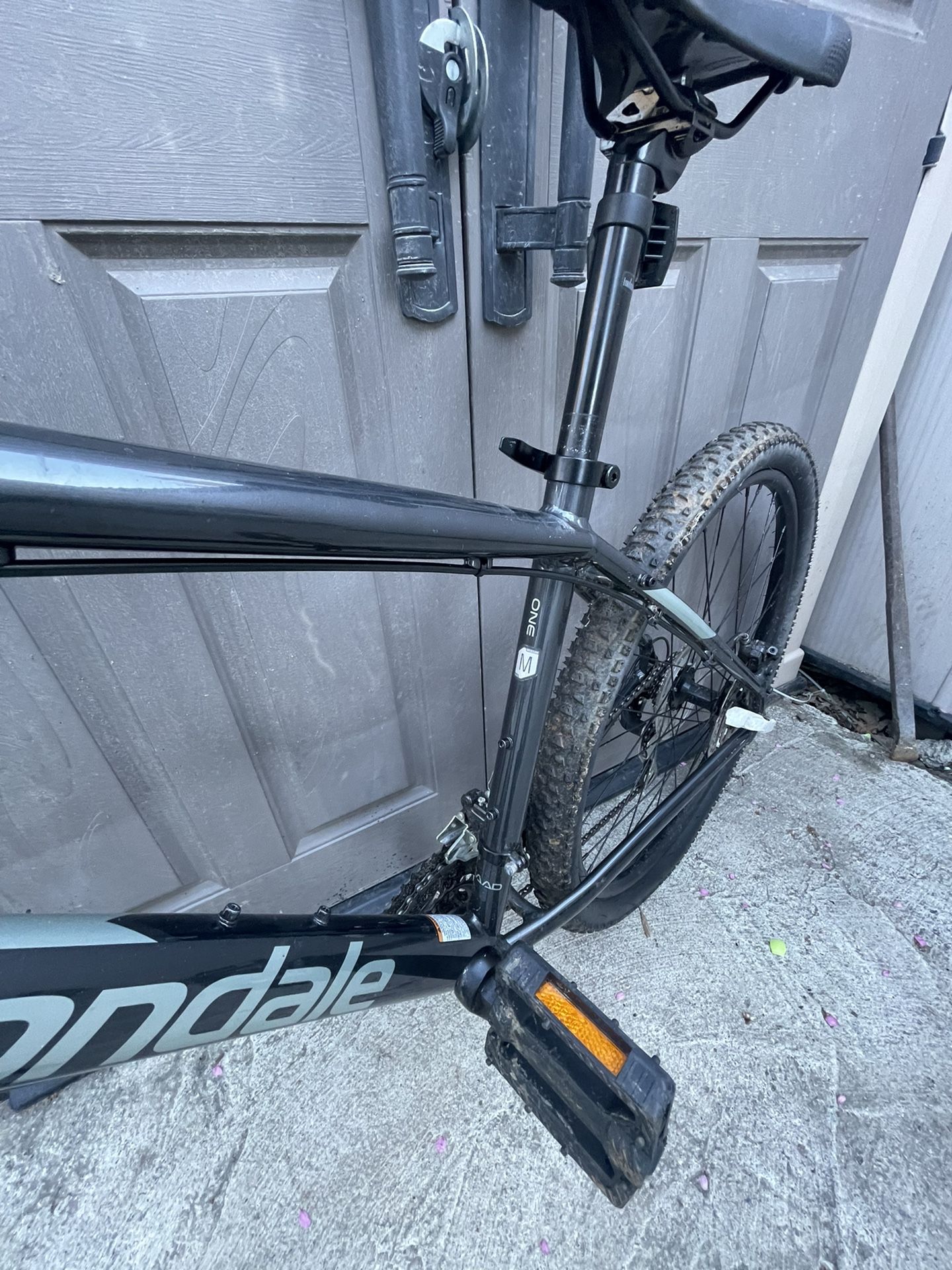 Cannondale cheap catalyst xs