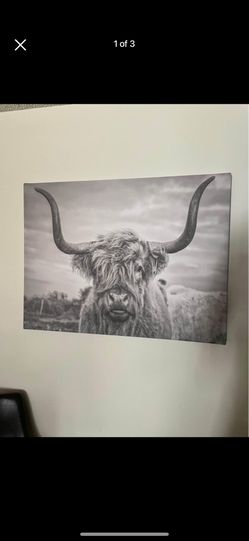 Cow Portrait