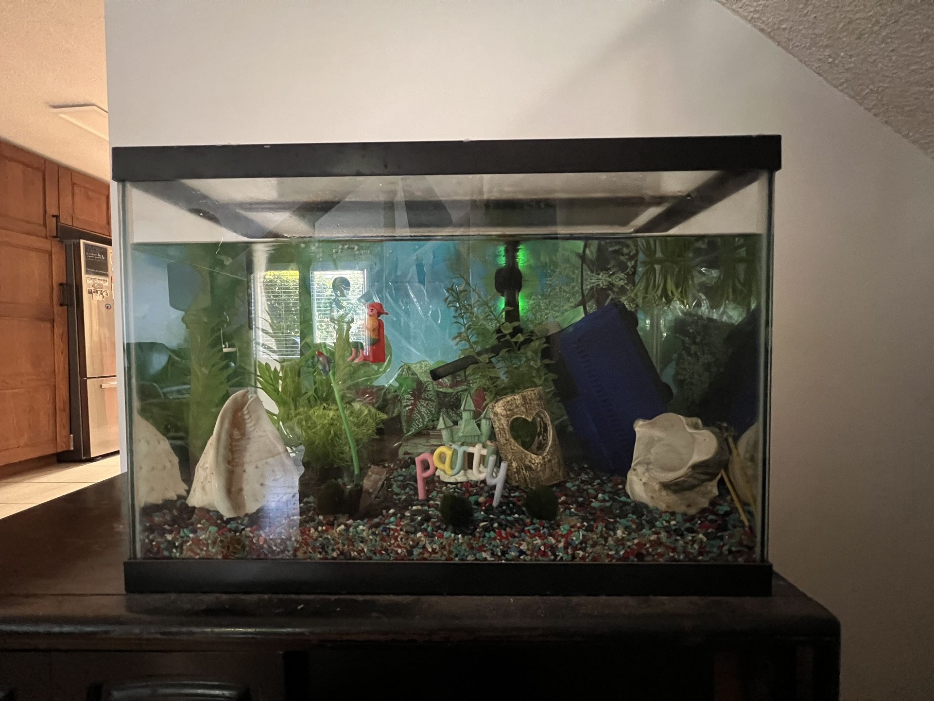 Aquarium - 20 Gallon Tank, Filter, Heater, Light, Rocks, Decor