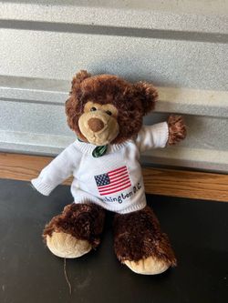 Free Washington DC Bear