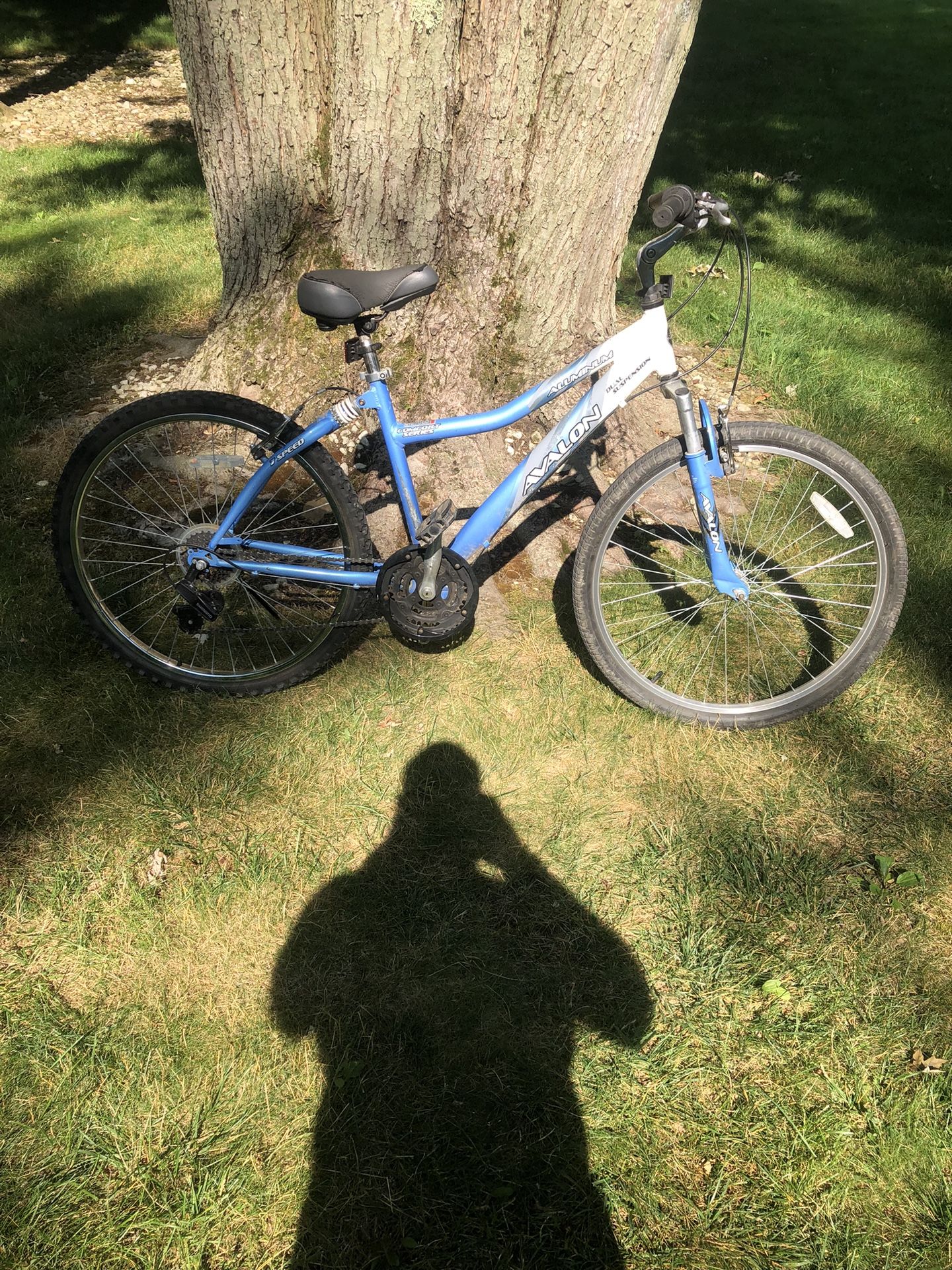 26” Cruiser Bike (6 Speed)