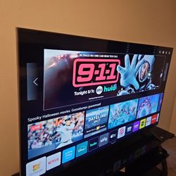 LG 75" Television 