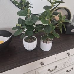 2 artificial Plants