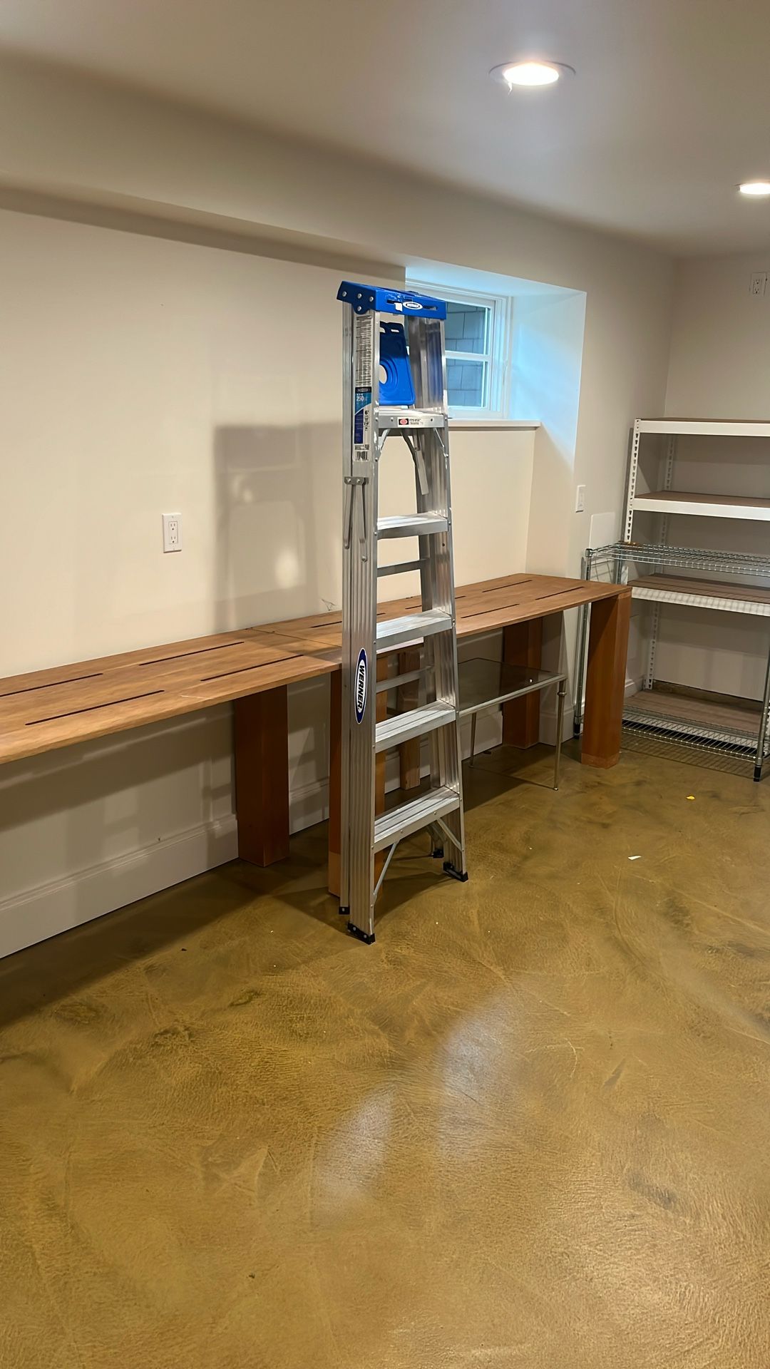 Werner Ladder 6ft