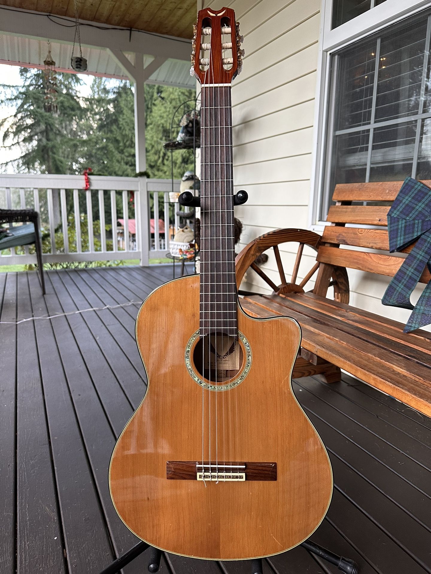 Guitar