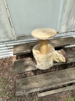Cat Tree