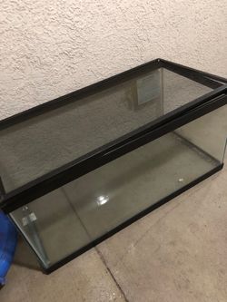 50 gallon Fish tank