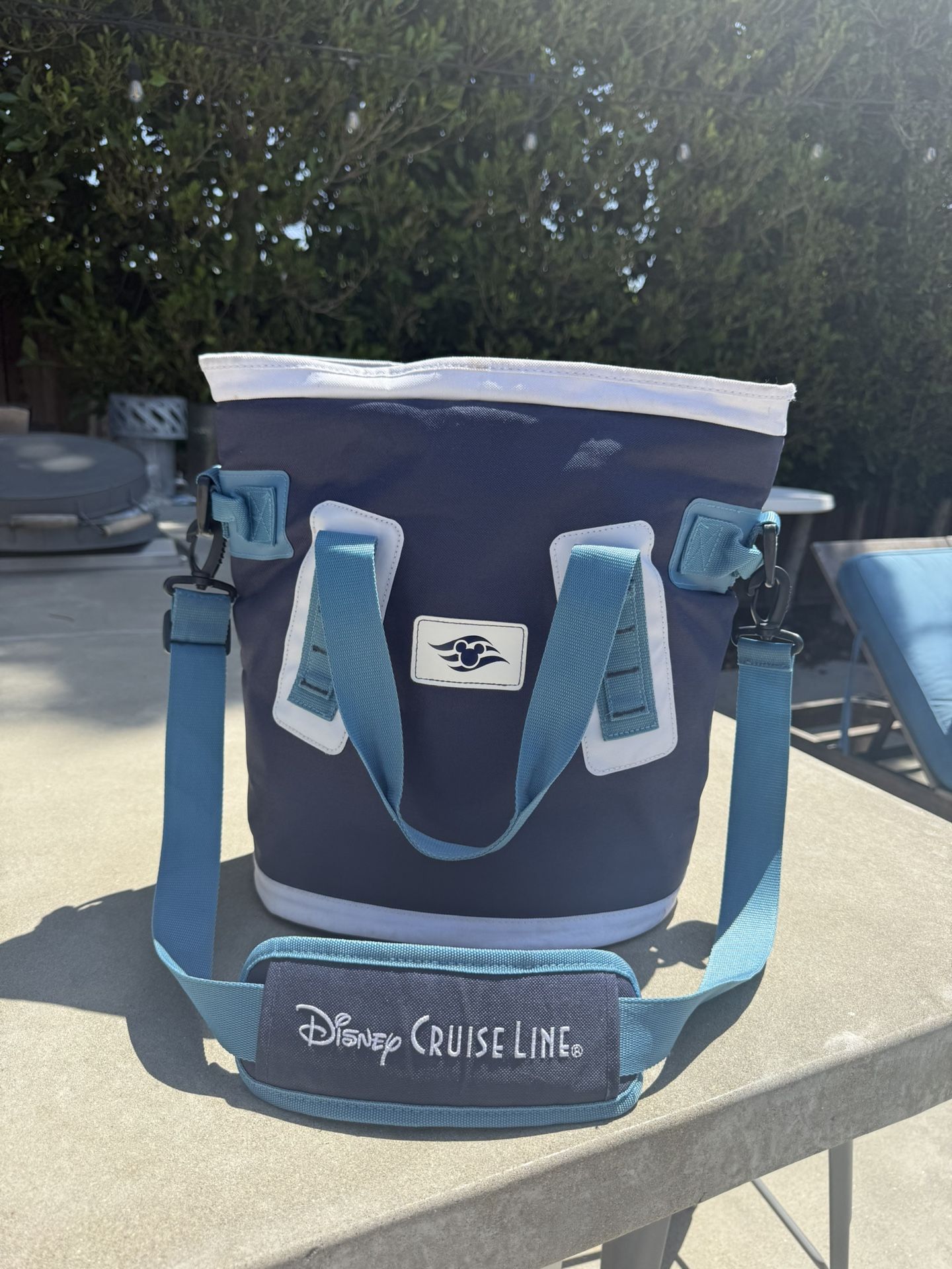 Disney Cruise Line Official Bag/Insulated Cooler