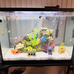 40 gallons fish tank