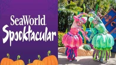 🕷️ SeaWorld Halloween: Two Worlds of Fear & Fun 🎠👹