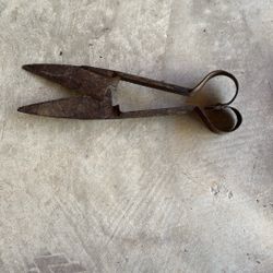 Antique Sheep  🐑 Shears 