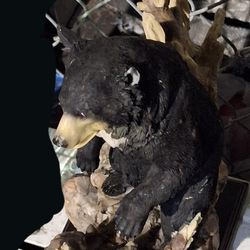 Black Bear Statue