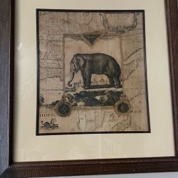 Elephant Picture 