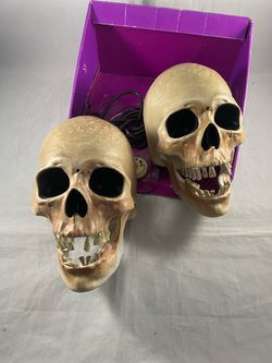 Realistic talking, skulls, Halloween Skulls Decorations Set of 2