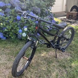  Specialised Hot Rock 20 Mouton Bike