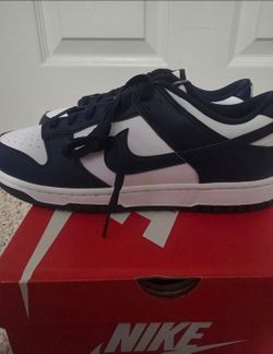 Nike dunk low Retro