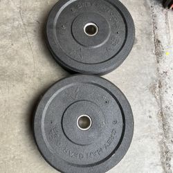 Olympic Weights 45lb 